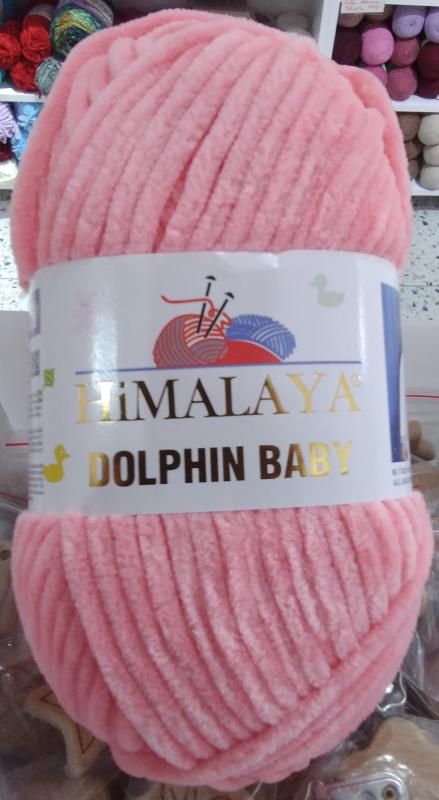 HİMALAYA DOLPHİN BABY 