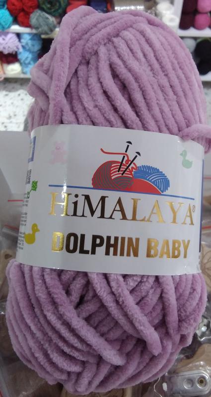 HİMALAYA DOLPHİN BABY 