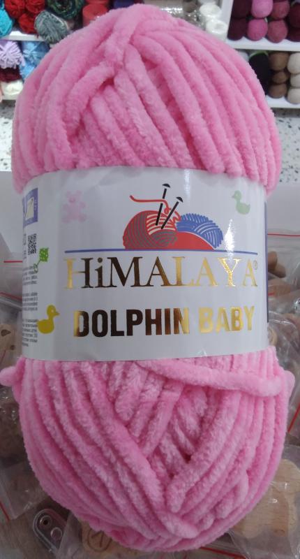 HİMALAYA DOLPHİN BABY 